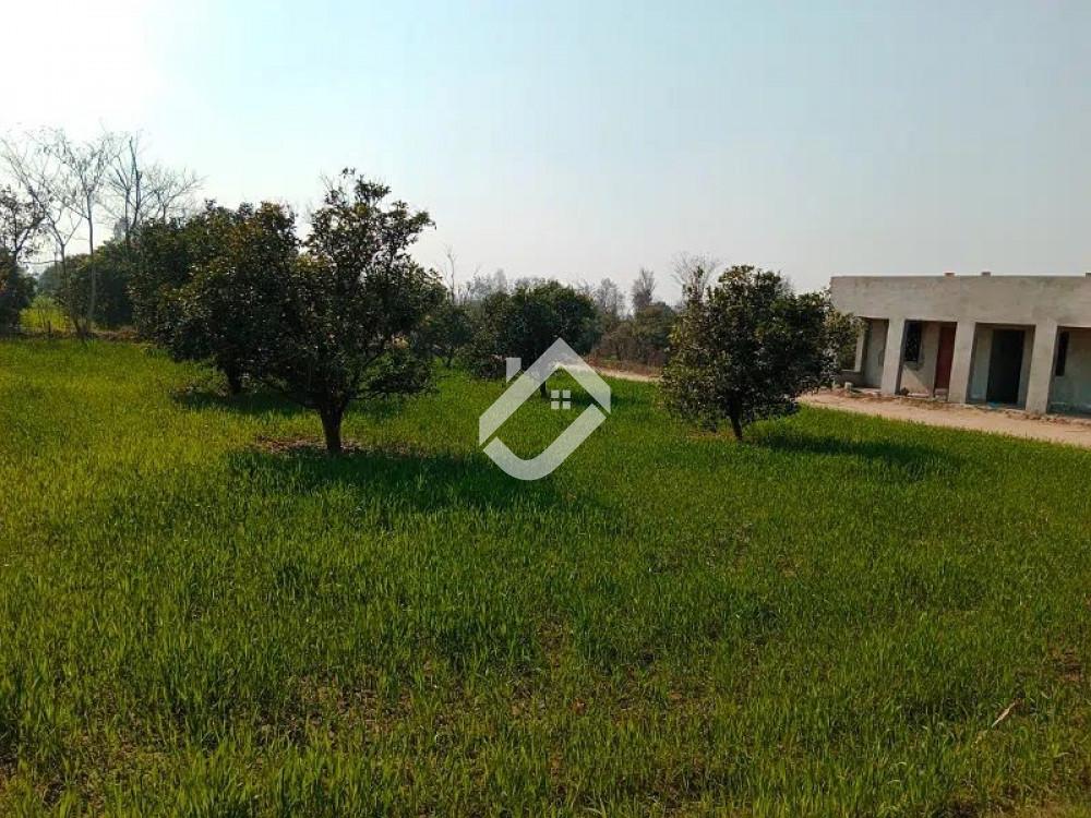 View  48 Kanal Agricultural Land For Sale At Bhalwal Road Mitha lakk  in Bhalwal Road, Sargodha