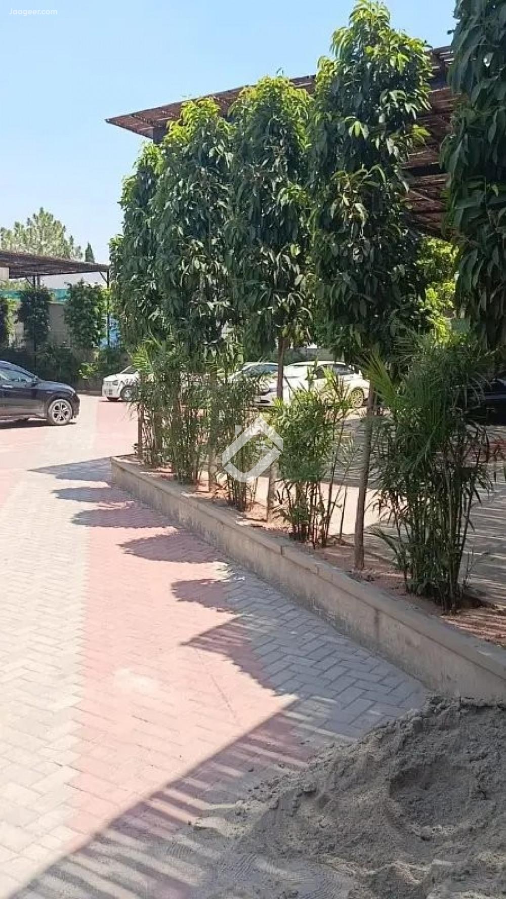  A Commercial Furnished Office For Rent In I-9/2