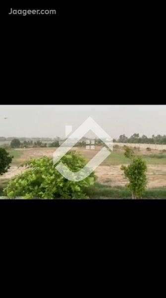 View  57 Acre Agricultural Land For Sale In Lalian  in Lalian, Sargodha